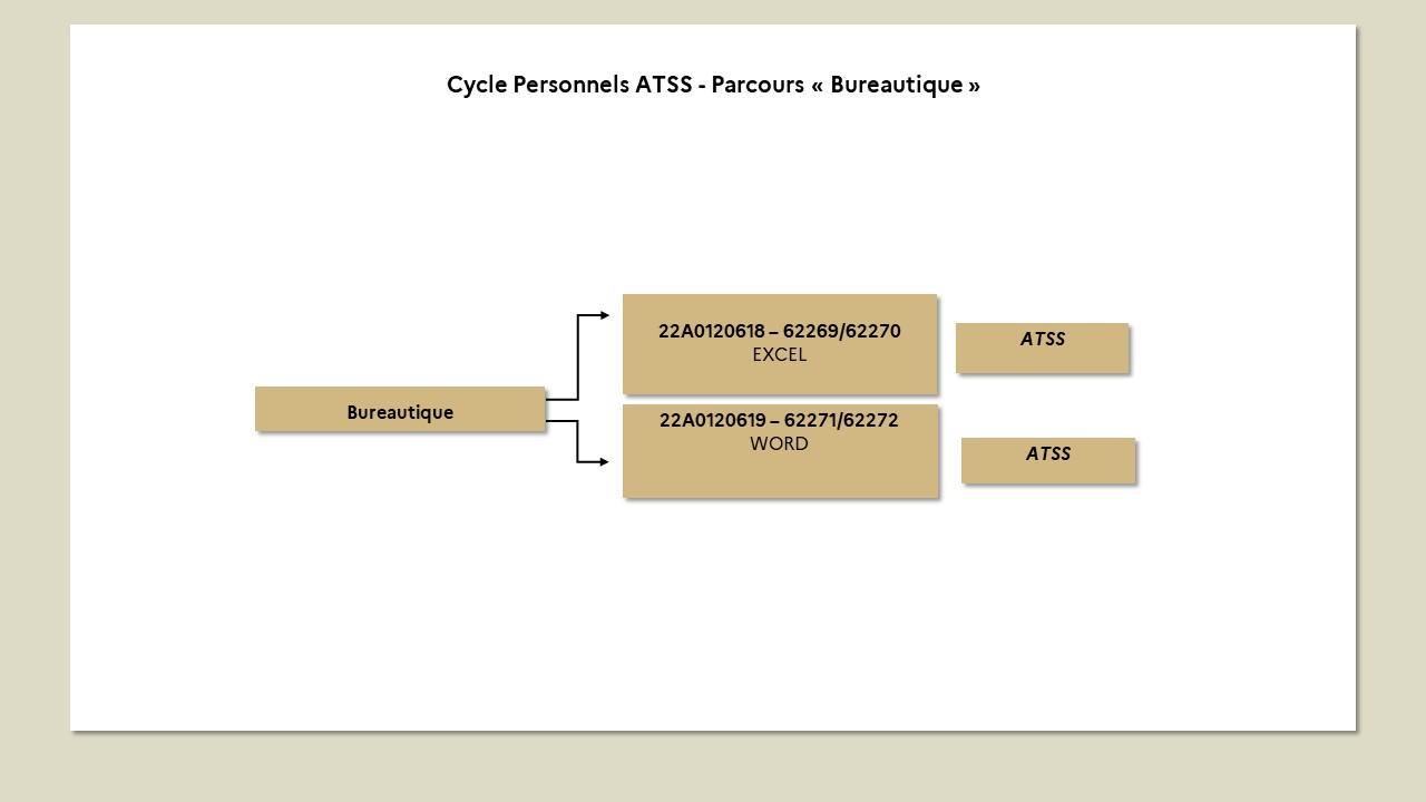 Carte mentale