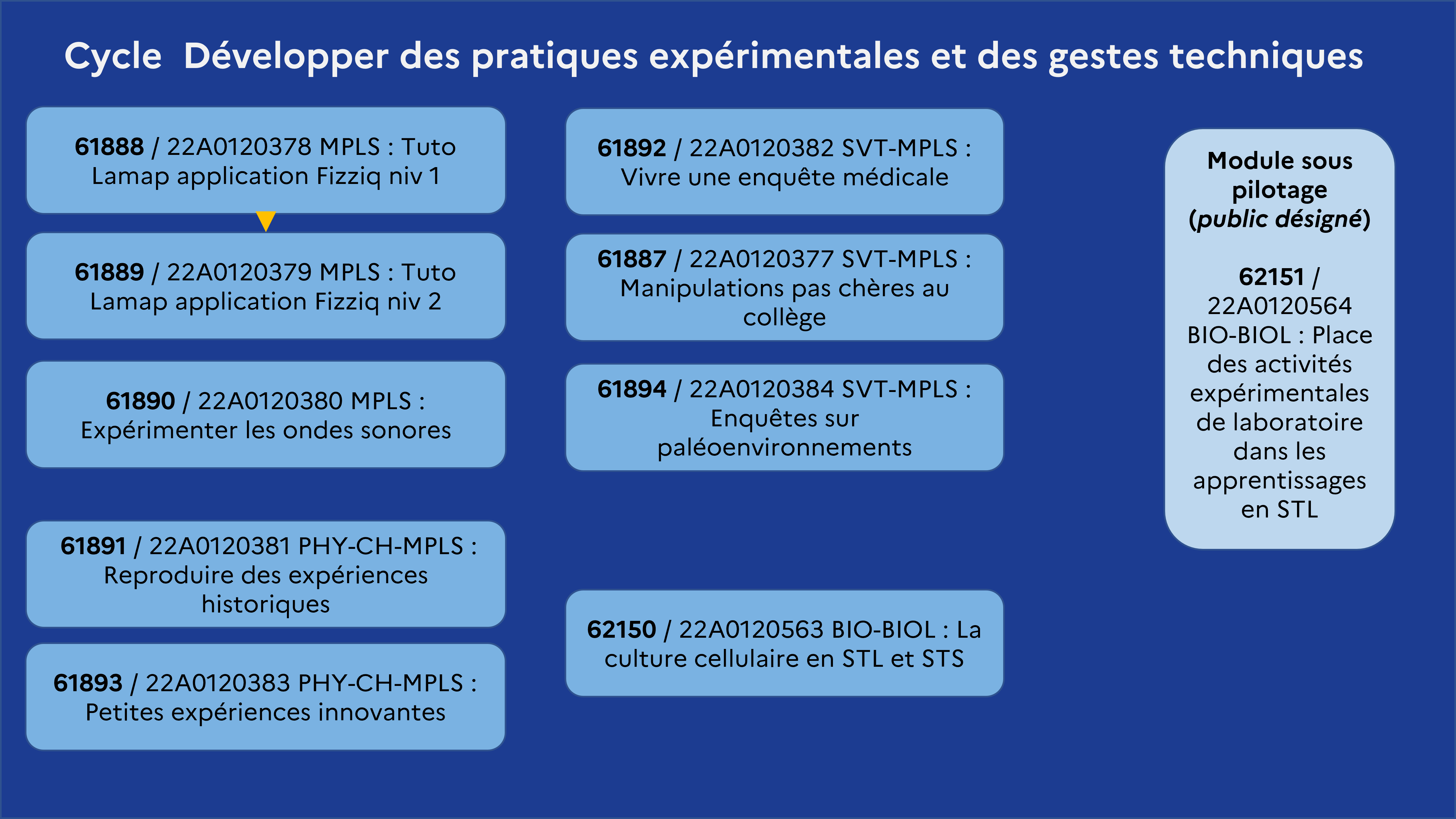 EAFC-CarteMentale-CyclePratiquesExperimentales