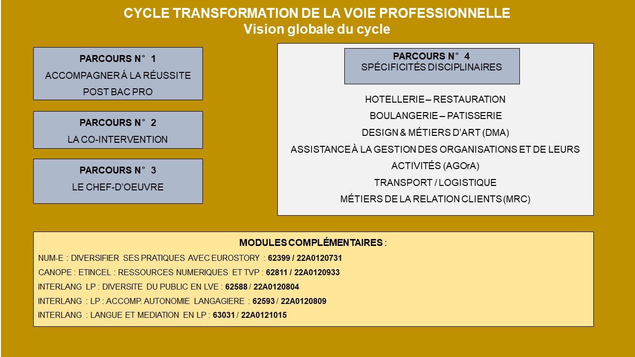 EAFC-CarteMentale-CycleTVP-global