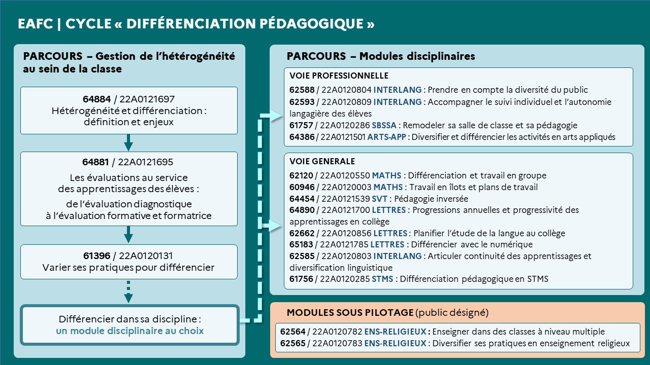 EAFC-carteMentale1-CycleDifferentiation