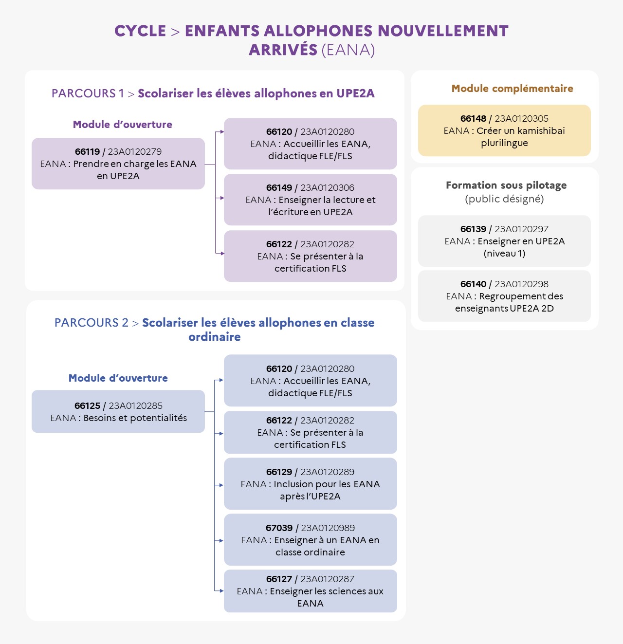 EAFC - Infographie du cycle Elèves Allophones Nouvellement Arrivés (EANA)