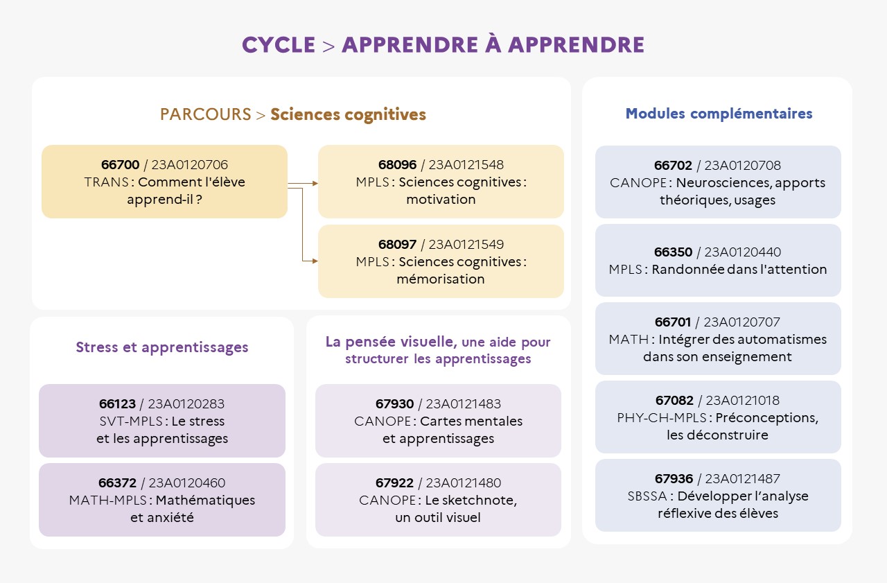 EAFC - Infographie Cycle apprendre à apprendre