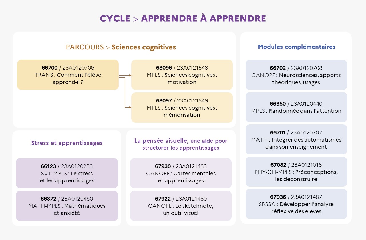 Test apprendre à apprendre: les 08 clés de l'apprentissage accéléré 