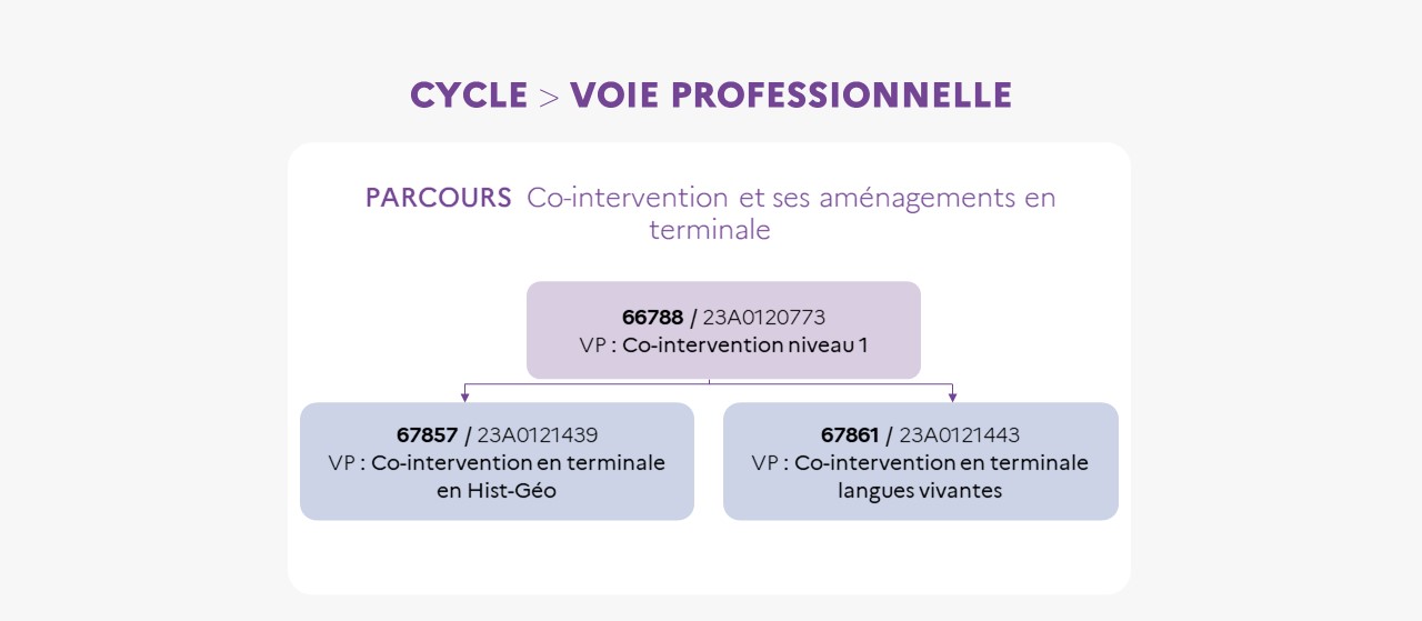 EAFC - Infographie Cycle voie pro Co-intervention