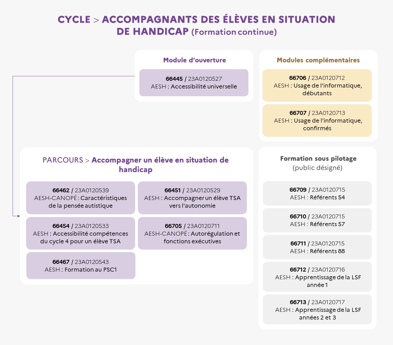 EAFC - Infographie du cycle Accompagnants des Elèves en Situation de Handicap (AESH) - Formation continue