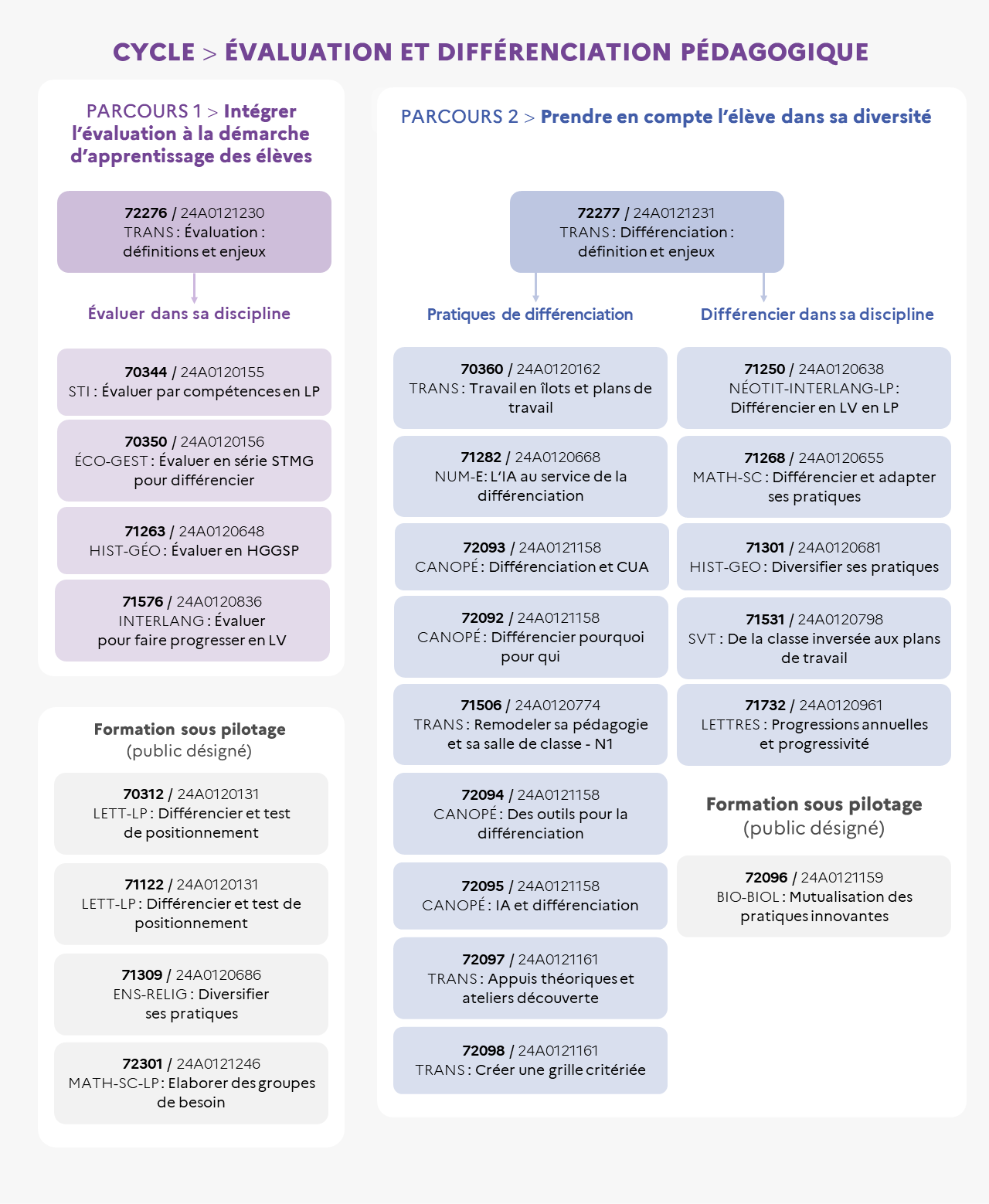 EAFC - Infographie - Cycle Évaluation et Différenciation pédagogique Infographie