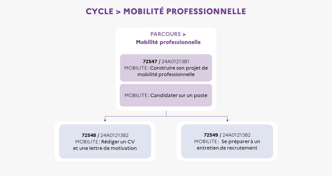 EAFC - Infographie Mobilité professionnelle