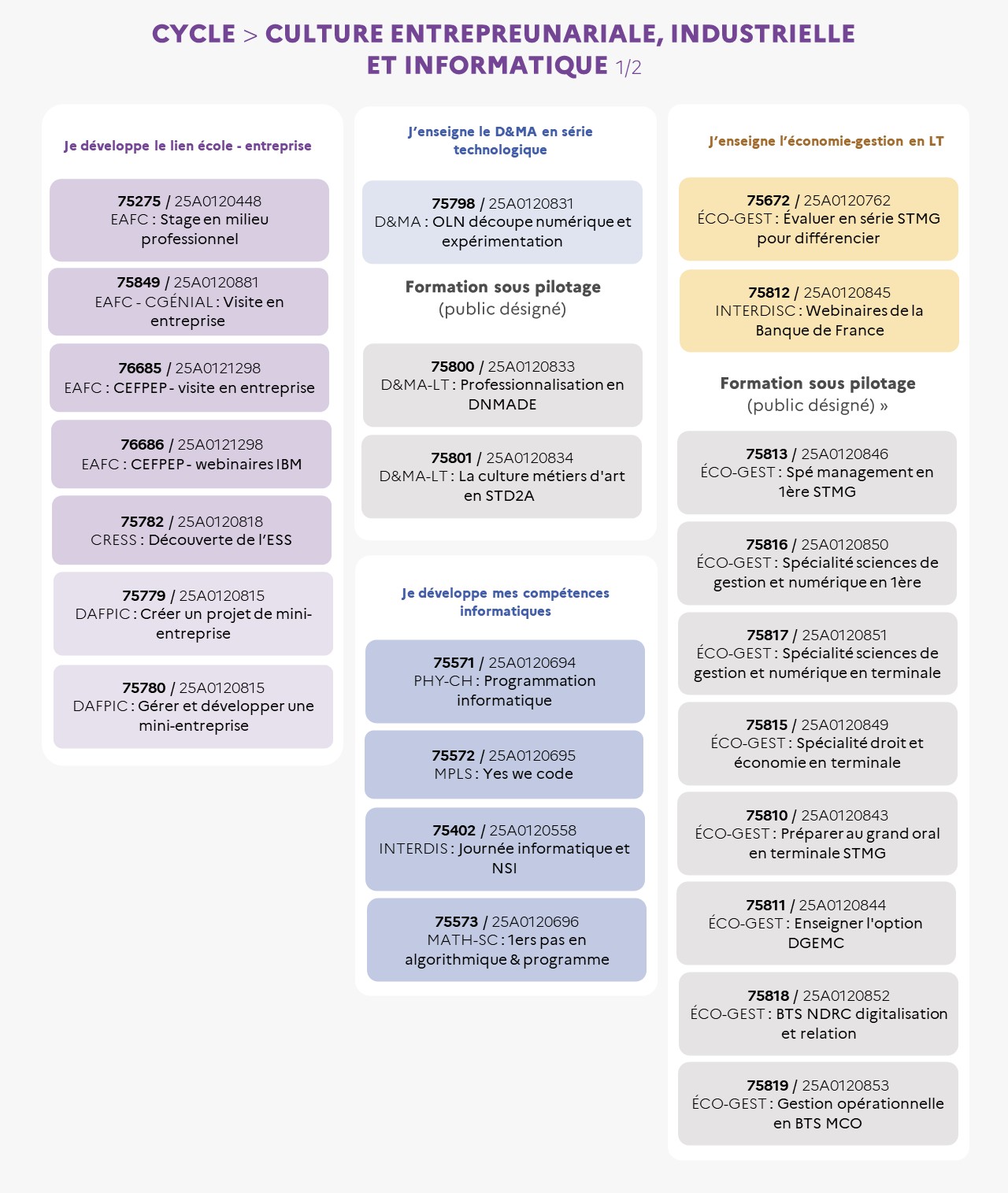 EAFC - Infographie - Cycle Culture entrepreunariale, industrielle et informatique 1/2